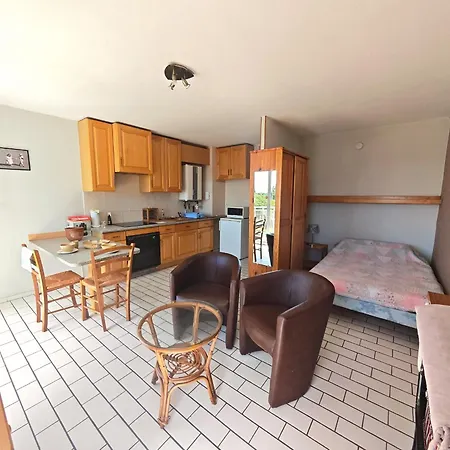 Apartment Climatise, Parking, Animaux Ok - 2 Pers. - Fr-1-794-177